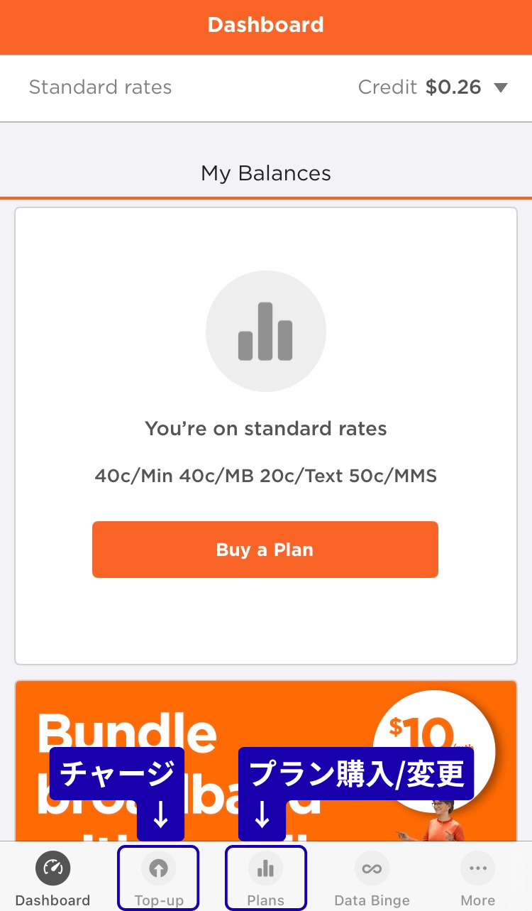 Skinnyのdashboardの画像