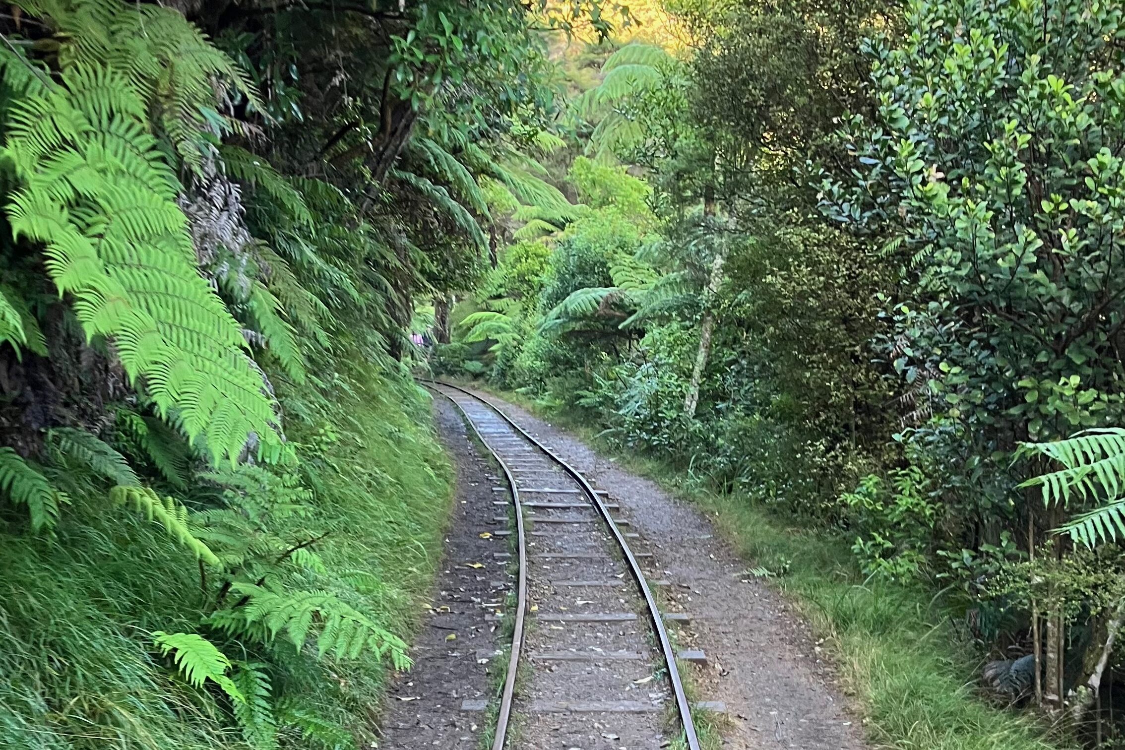 Karangahake Gorgeのトラムレールの跡